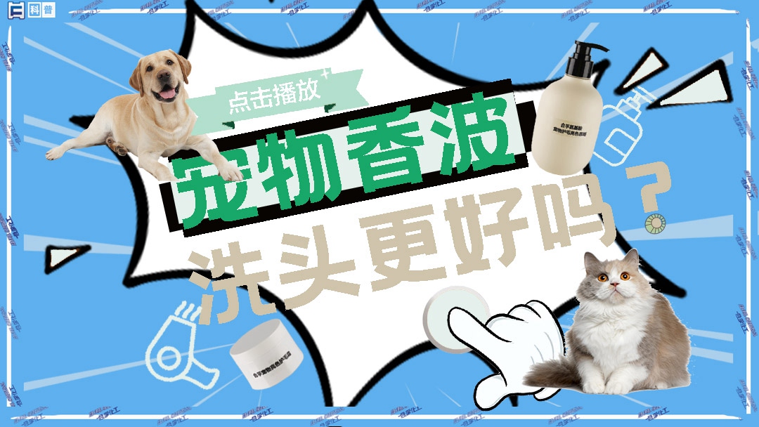寵物香波洗頭更好嗎？